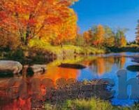 DSC足球比分-DSC足球比分，足球迷的实时数据宝藏库